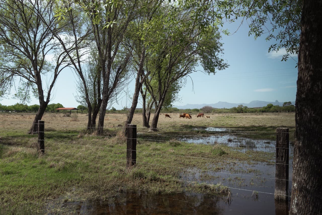 Pastizal del rancho con aguaje y la sierra al fondo